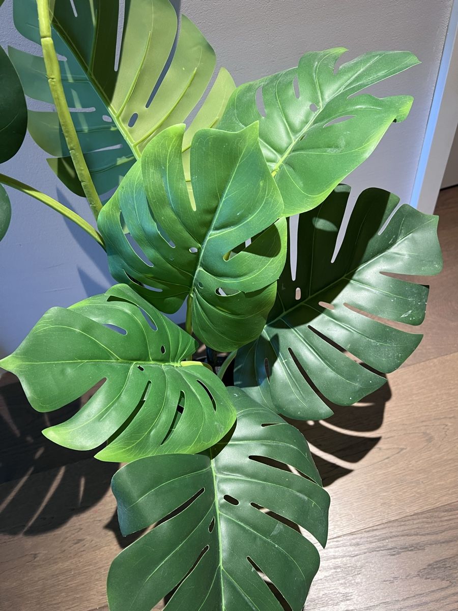 Piante & sementi: Künstliche Monstera Pflanze – Usato da Horgen venduto da laurakm 4