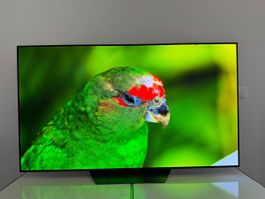 LG OLED TV 65 Zoll 