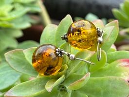 Ohrringe Bernstein mit Silberhaken 925 Silber