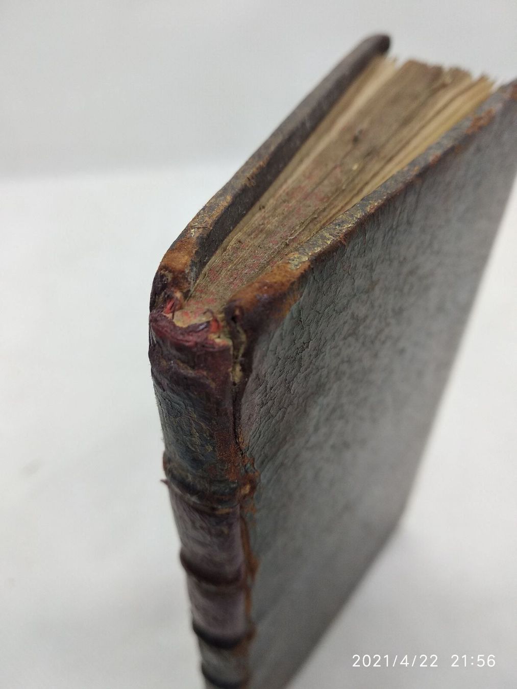 Libri: BAROCKLITERATUR - RAPIN - 1670 – Usato da Goldach venduto da Gaip 6