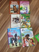 6 Pferdebücher schleich Kiki sternenschweif etc B20