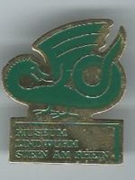 Museum Lindwurm Stein am Rhein, Pin