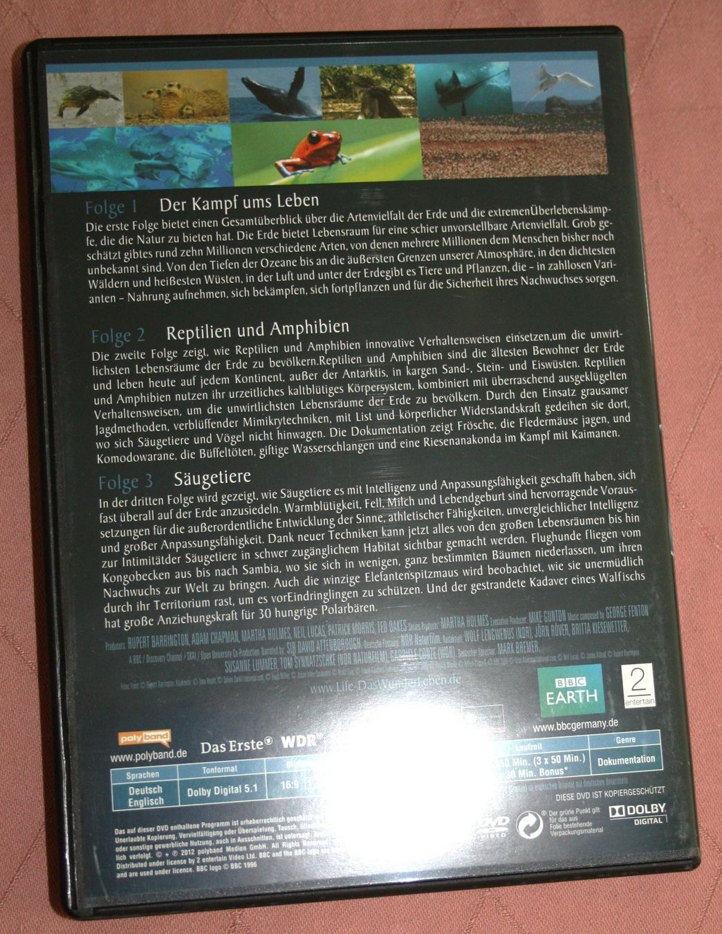 Tutti i DVDs: DVD Das Wunder Leben (6) – Nuovo (secondo la descrizione) da Flüelen venduto da Rosegarden 4