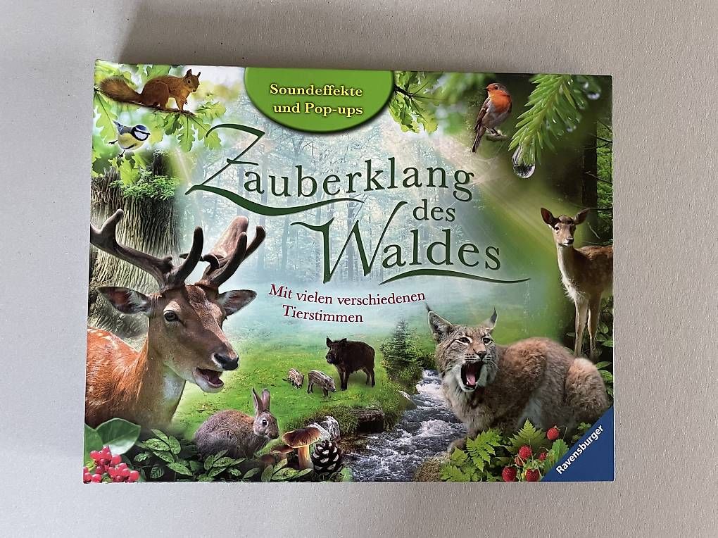 Libri: Zauberklang des Waldes, Pop-Up-Buch – Usato da Biel/Bienne venduto da pbeverin