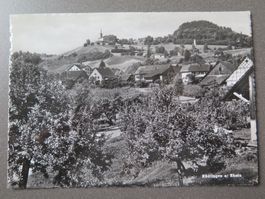 RÜDLINGEN - WEINBAUGEBIET - REBEN - WINZER