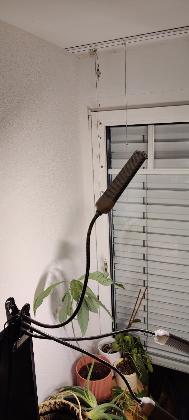 Lampade: Pflanzenlampe LED mit Klemme 3er-Set gebraucht – Usato da Nendeln venduto da Anthomy 3