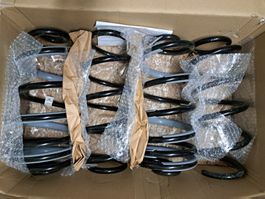 NEU - Original Ford Tourneo Custom Federn (2026)