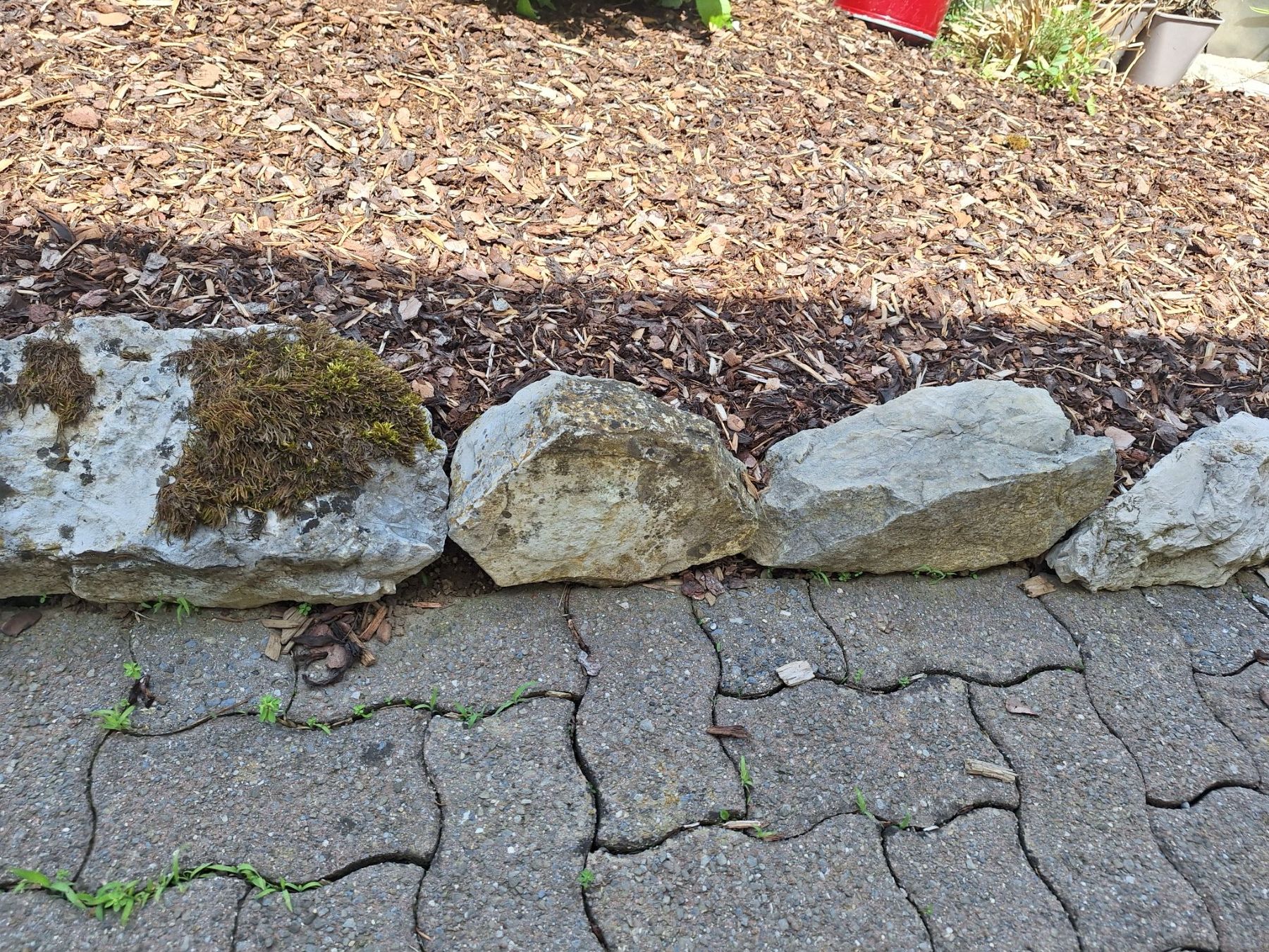 Pietre & tegole: Gartendekoration:Alpenkalksteine? – Usato da Grenchen venduto da Schoggijoghurt 1