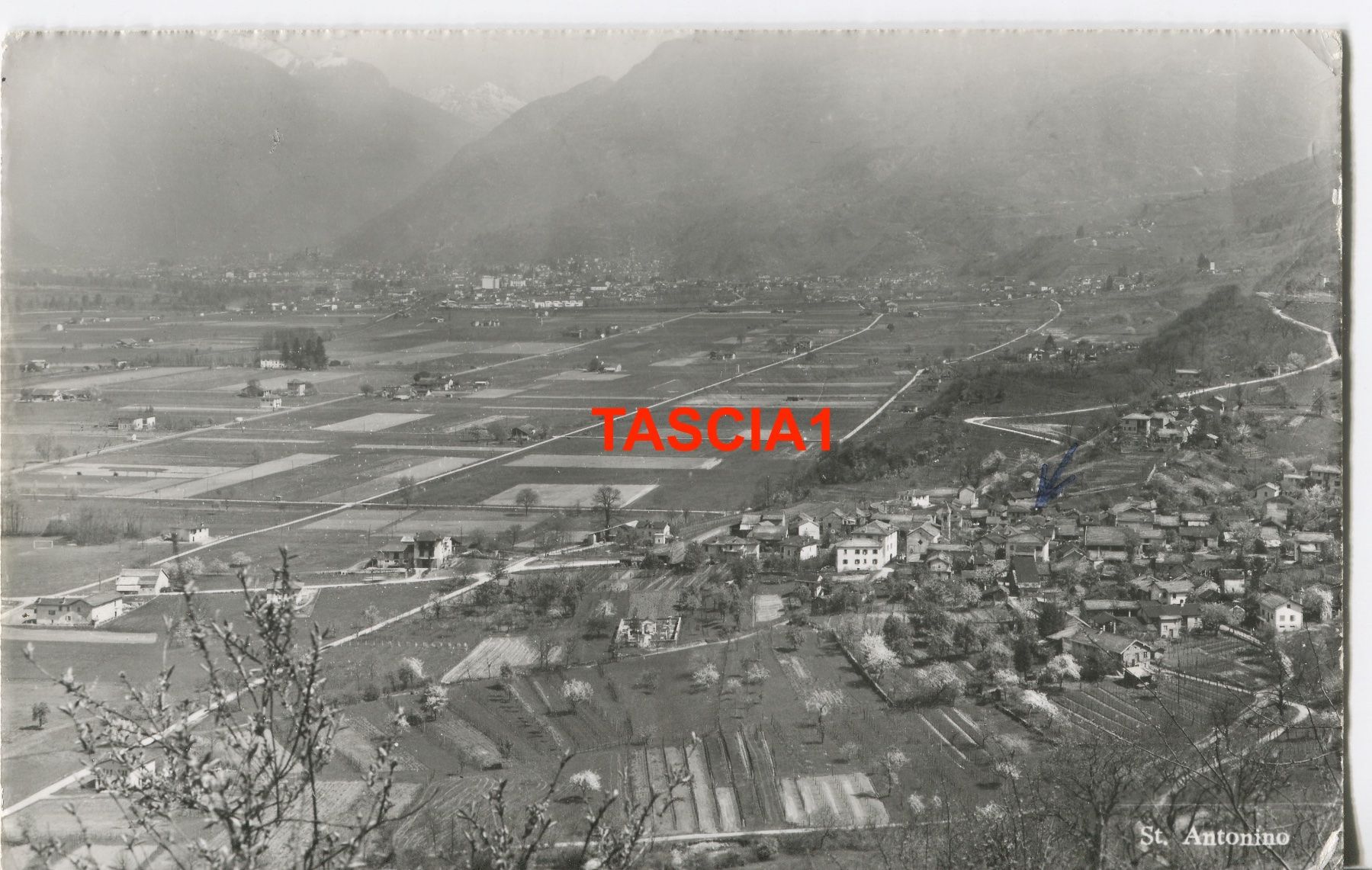 Cartoline postali: San Antonino Panorama 1968 – Usato da coglio venduto da Tascia1