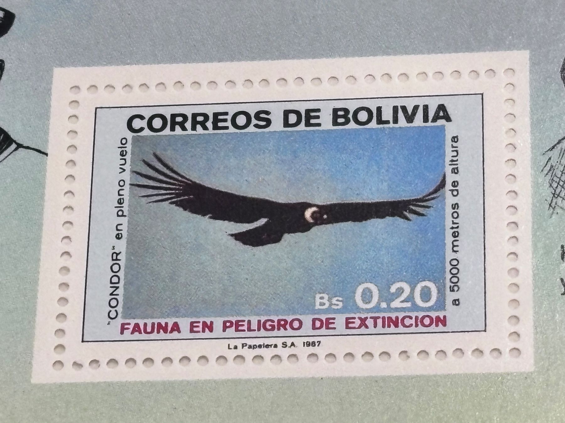 Tutti i francobolli: Briefmarke Bolivien Luftfahrt Zeppelin, Top Zustand! – Nuovo e nell'imballaggio originale da Zürich venduto da engebrunau 1