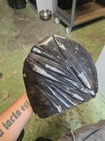 Orthoceras Fossilplatte 350 Mio. Jahre alt Marokko (D)