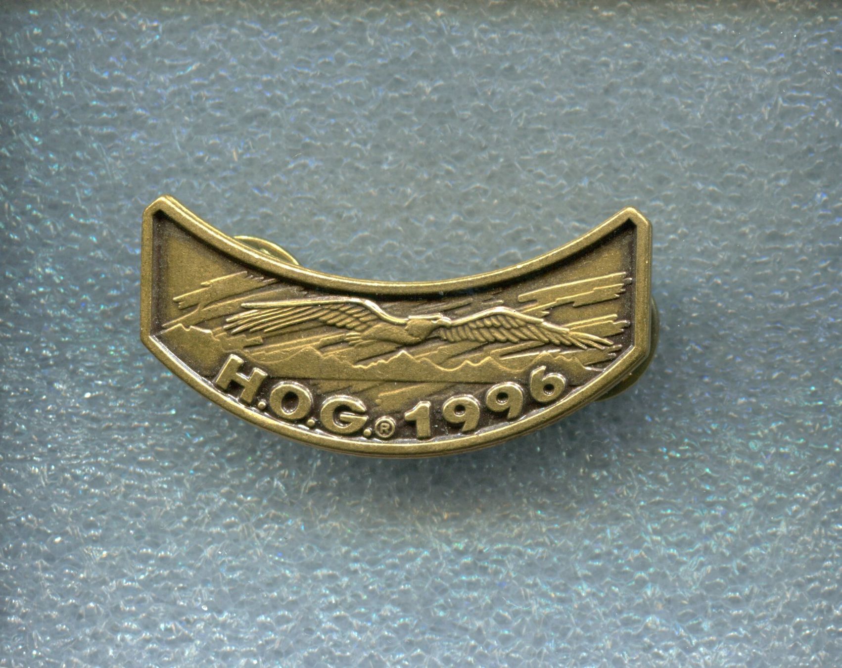 Harley-Davidson Placchette & Badge: HOG  HARLEY OWNERS GROUP  1996 – Usato da Winterthur venduto da Sammleroase