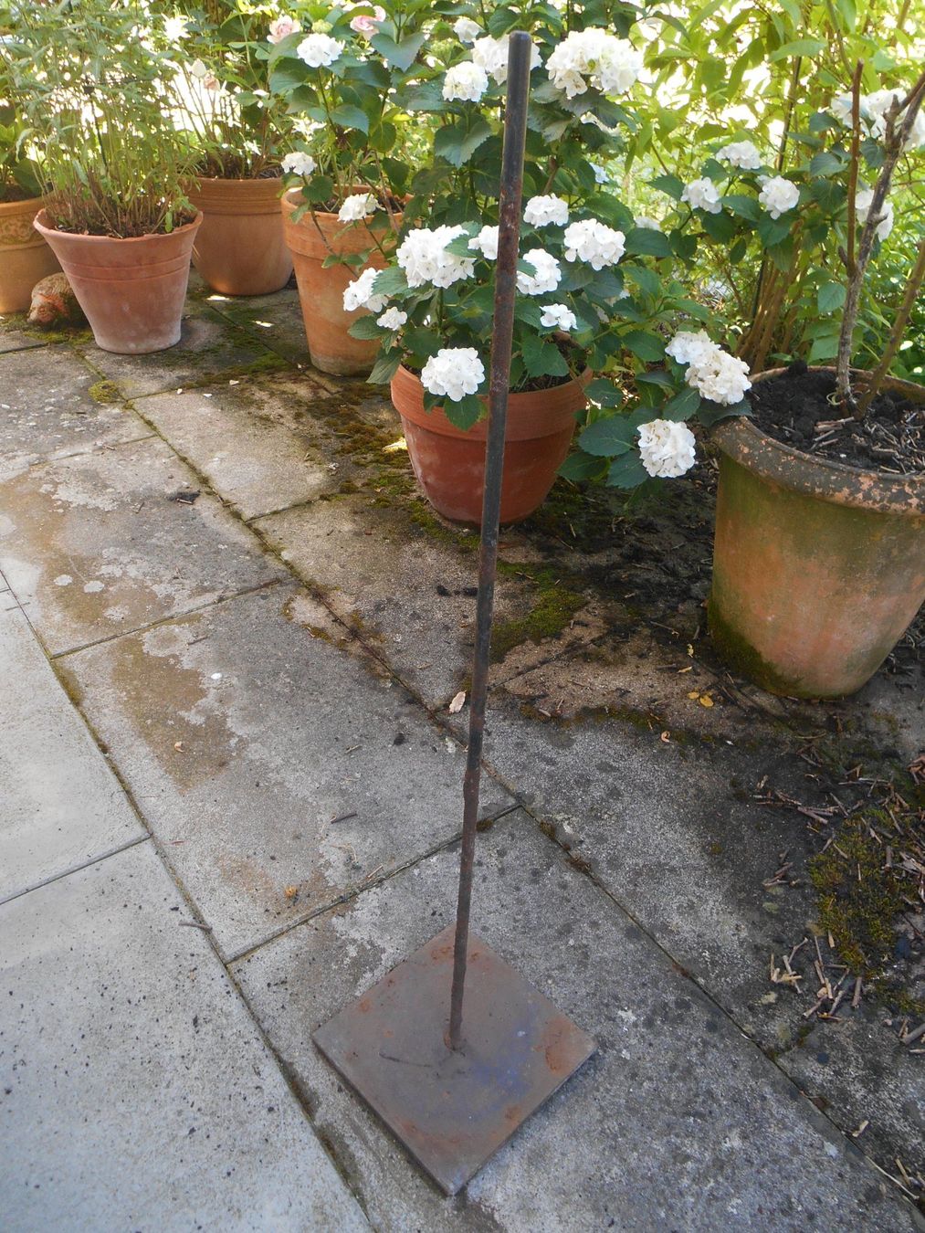Pots de fleurs: Metallstange für Kräutersäule – D'occasion à Nussbaumen AG par Sumopi 2