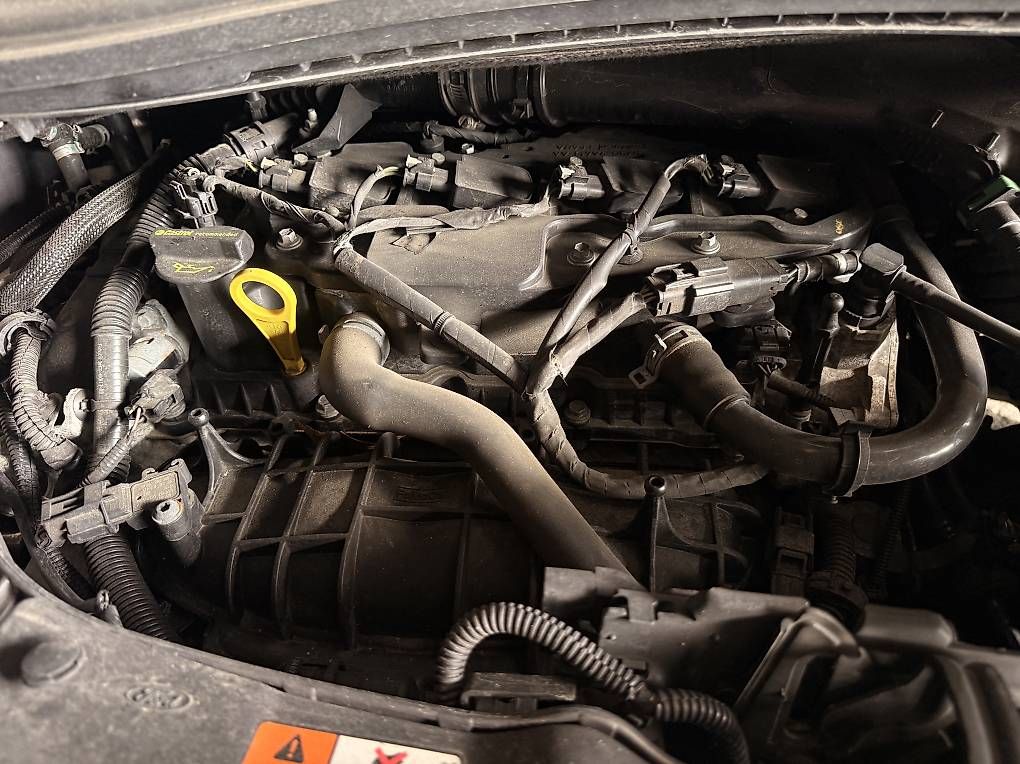 Autos: FORD C-MAX 1.6 SCTi  Titanium, 150 PS – Gebraucht aus Udligenswil von Sch2s 6