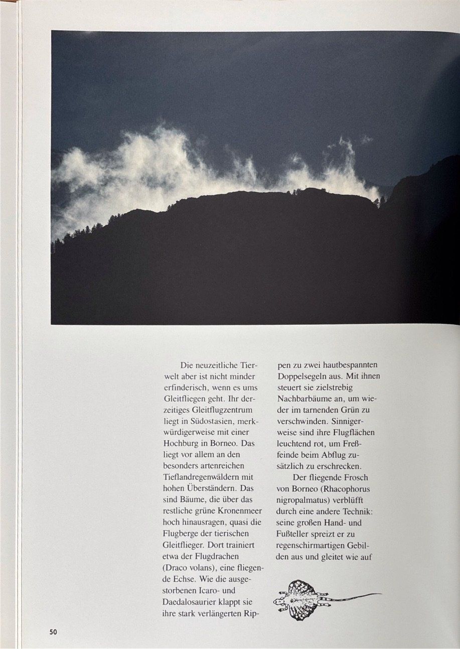 Libri: Carsten Peter, Gleitschirm total – Nuovo (secondo la descrizione) da Sarnen venduto da Livres 9