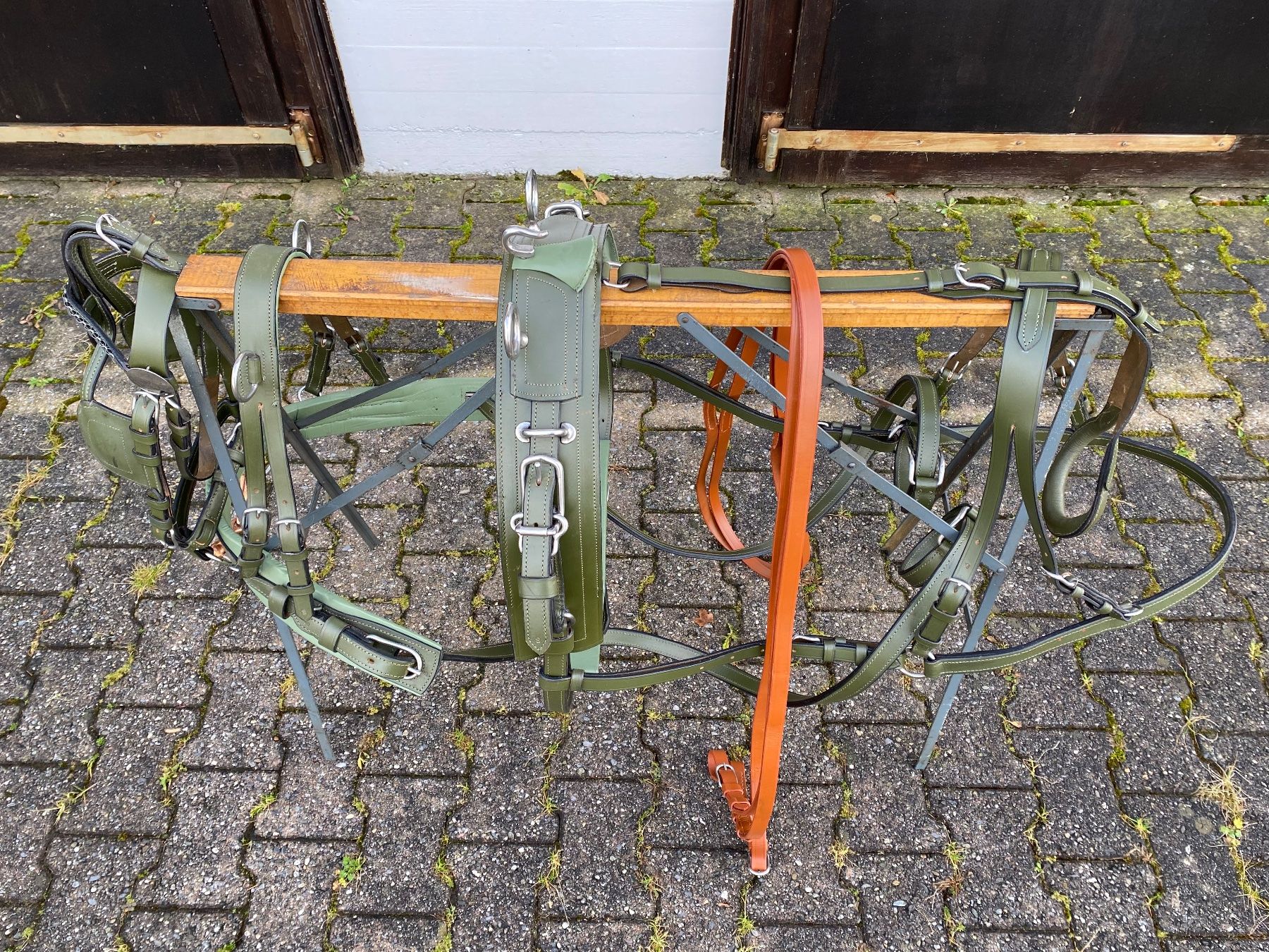 Carrozze: schönes dunkelgrünes Shettygeschirr – Usato da Feldbach venduto da Fea1 2