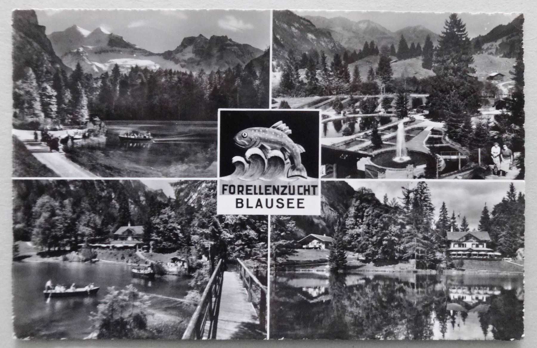 Cartoline postali: Forellenzucht, Blausee – Usato da Fétigny venduto da Billy2miny