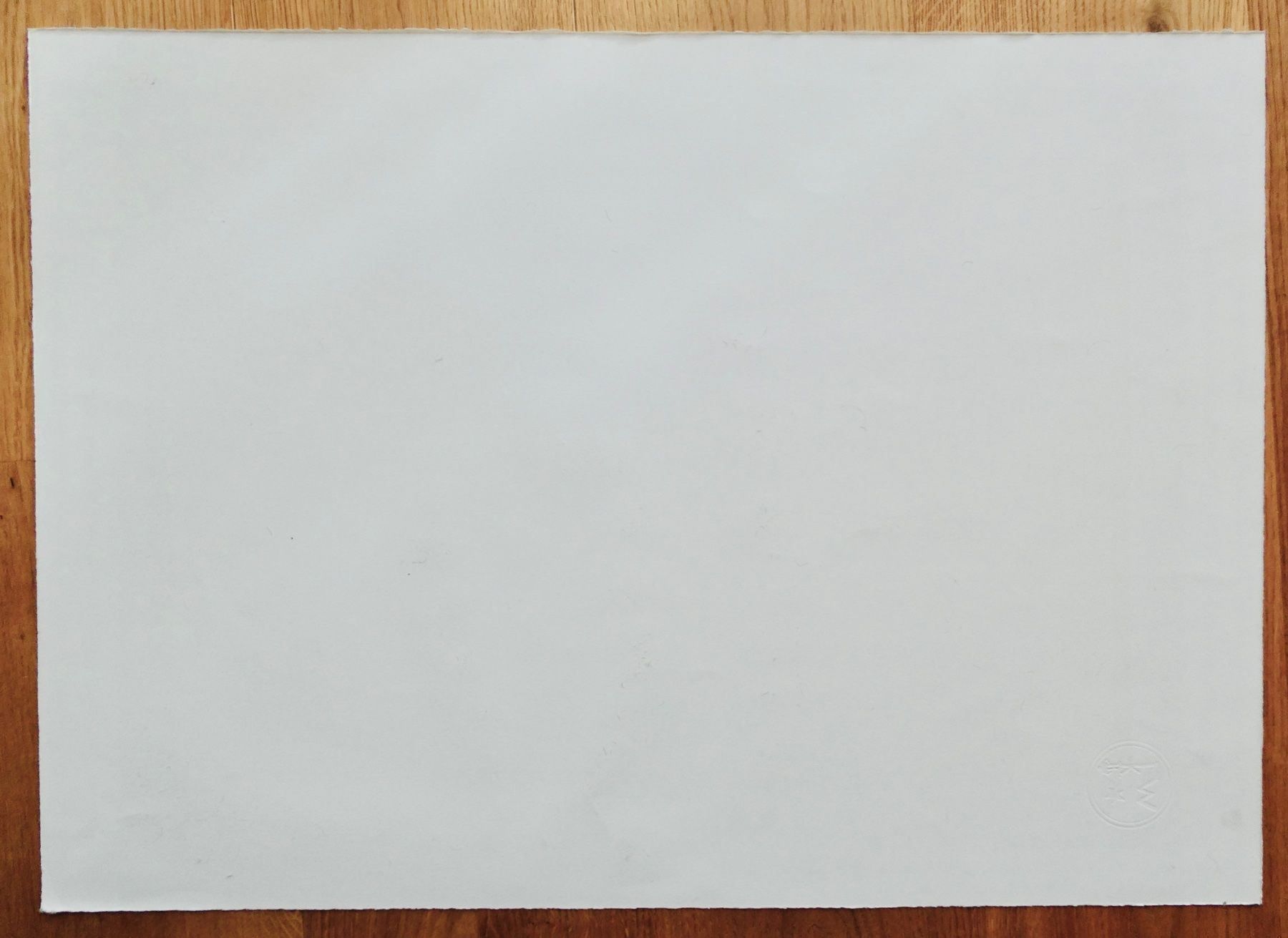 Grafica & Litografie: Kurt Metzler Farblitho – Usato da Lüchingen venduto da Eeizo 5