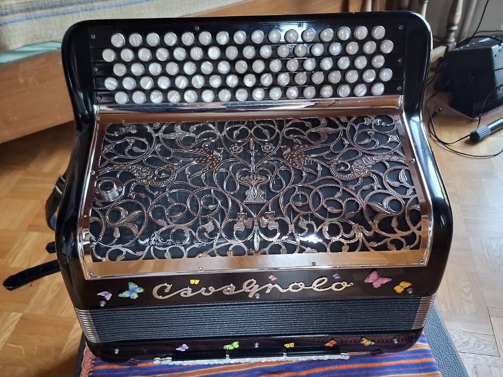 Musikinstrumente: Accordéon Cavagnolo Professionnel 8 compact Odyssée MDX – Gebraucht aus Yverdon-les-Bains von Seb2320 3