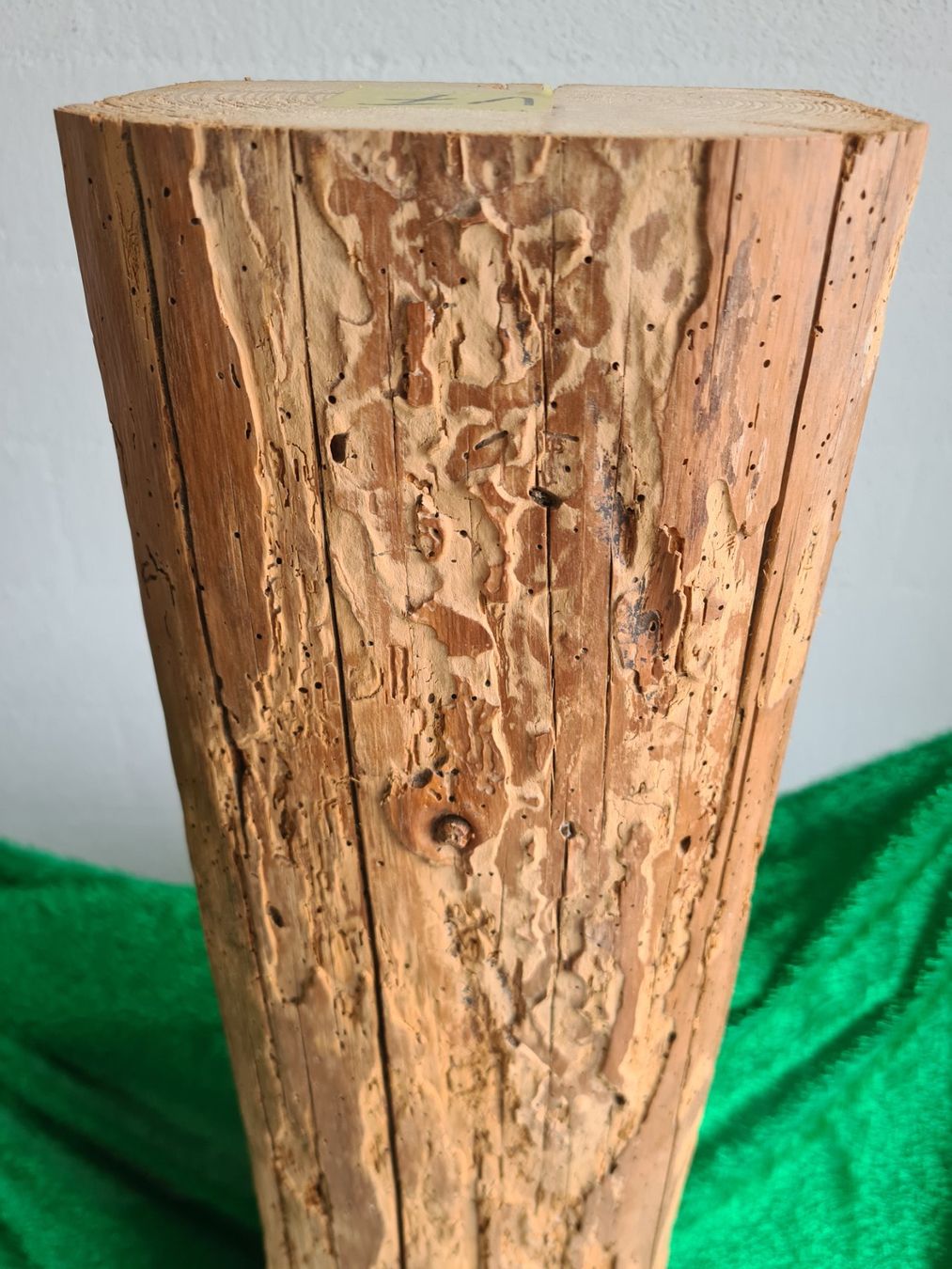 Articoli in legno: Altholz Deko Balken – Usato da Grosswangen venduto da Spieler10 2