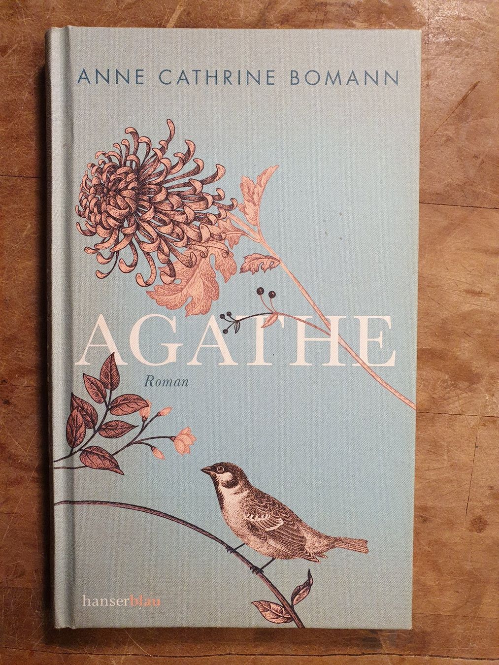 Bücher: Agathe – Anne Catherine Bomann – Gebraucht aus Zürich von loosebone