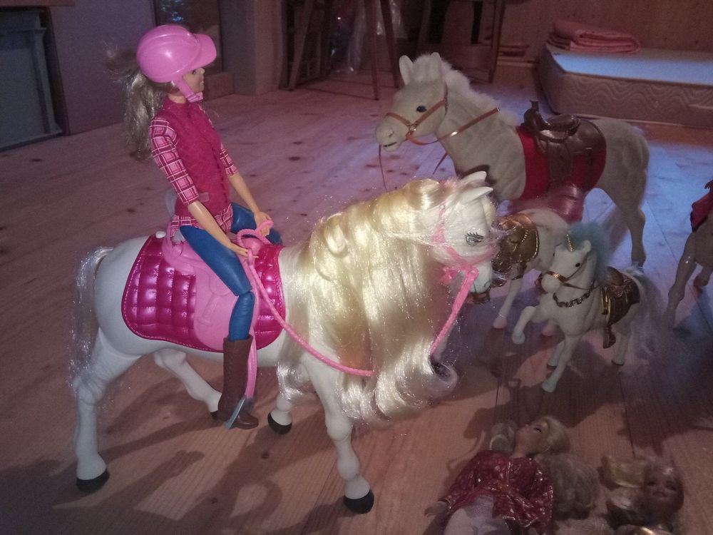 Barbie Paket gross mit Pferden Kaufen auf Ricardo