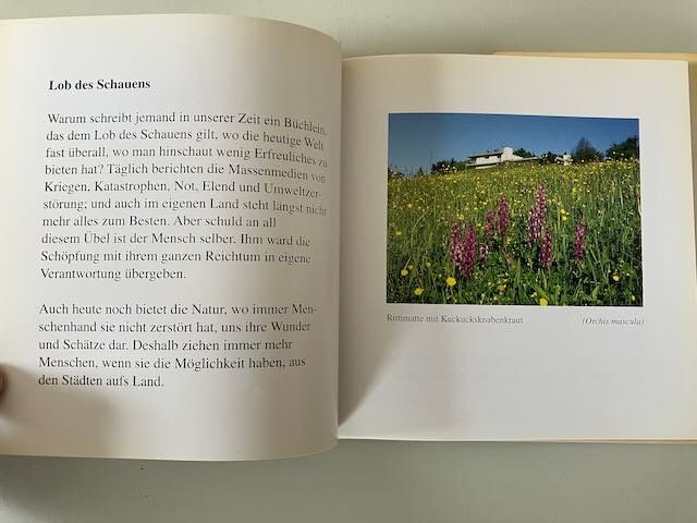 Libri: Buch: Lob des Schauens/ Albert Hofmann – Usato da Basel venduto da Bayo 2