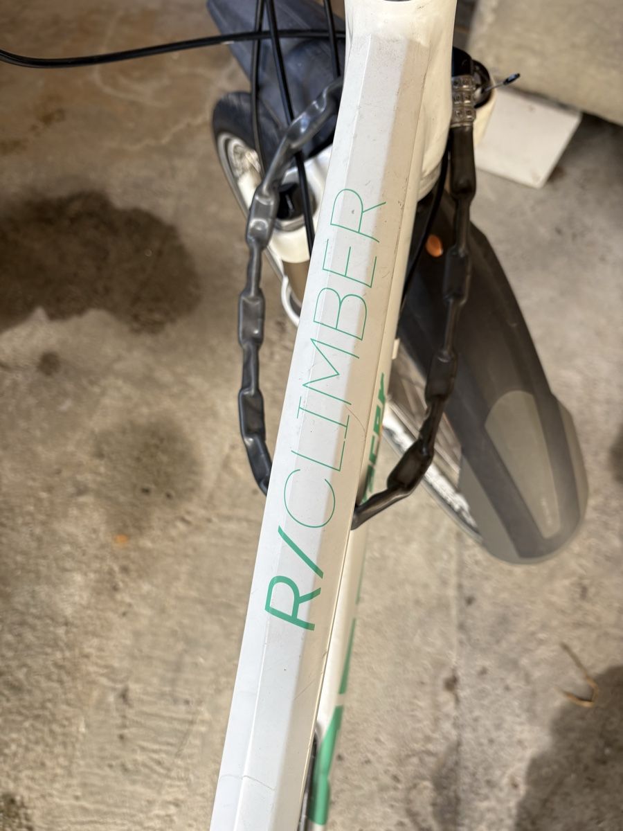 Biciclette: Damen Velo Racer 7.0 – Usato da Wilderswil venduto da kim_nbp9 4
