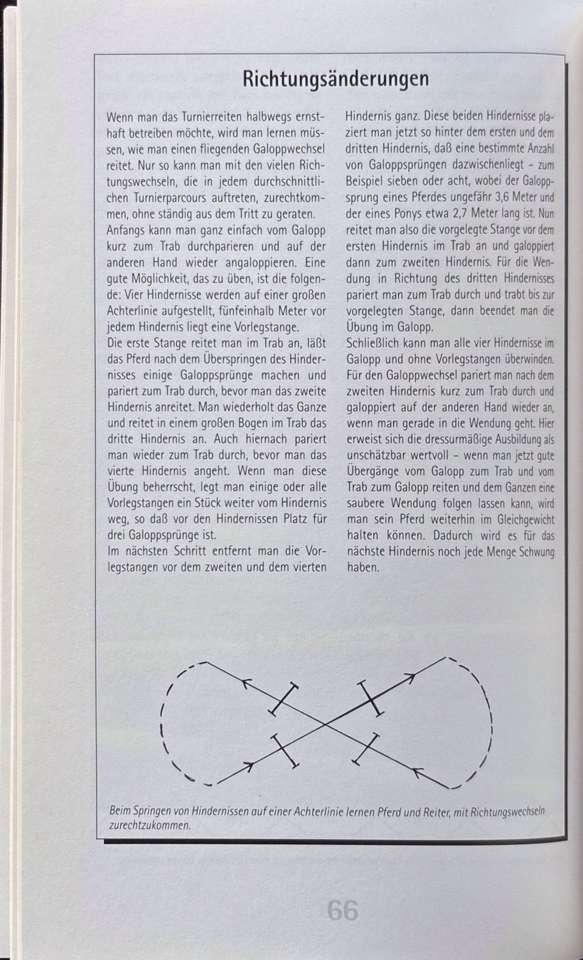 Libri: Besser Springreiten – Nuovo (secondo la descrizione) da Sarnen venduto da Livres 6