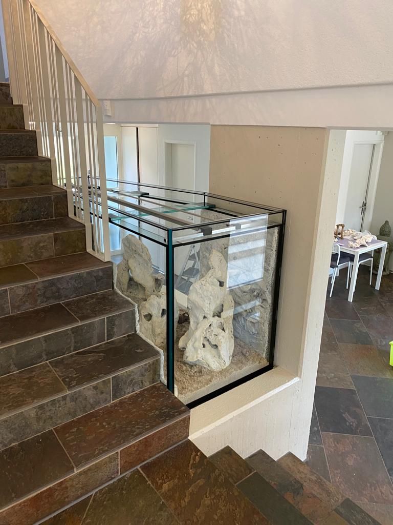 Acquari: Aquarium 1600 Liter – Nuovo (secondo la descrizione) da Berikon venduto da fischundart 3