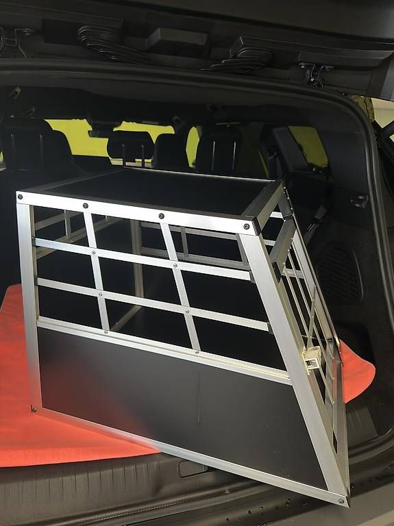 Gabbie, trasporto & Sicurezza: Hunde Transport Box – Usato da Rorschach venduto da dan_gzt8 2