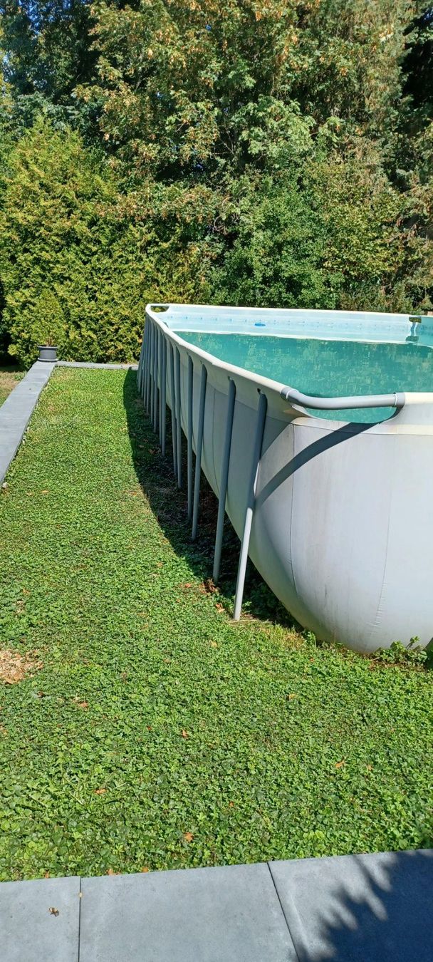 Bestway Schwimmbad: Bestway Aufstellpool – Gebraucht aus Menziken von Nikkimcanton 3