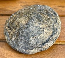 Biotit Linse *Aktion* alter Preis  35.--