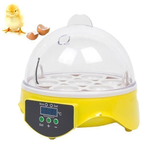 Altro in Accessori per animali: Brutmaschine Flächenbrüter 7 Eier Brüter – Nuovo (secondo la descrizione) da Thun venduto da onlino 1
