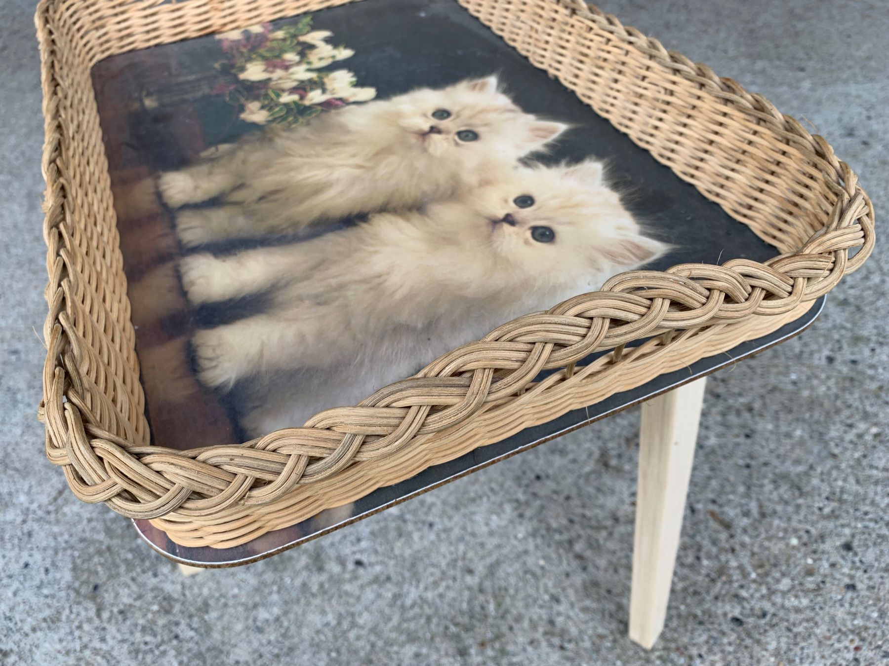 Campanacci mucche: schönes Tablar mit Katzen – Usato da Feldbach venduto da Olive1 3