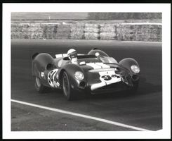 Fotografie Auto Shelby King Cobra, Rennw