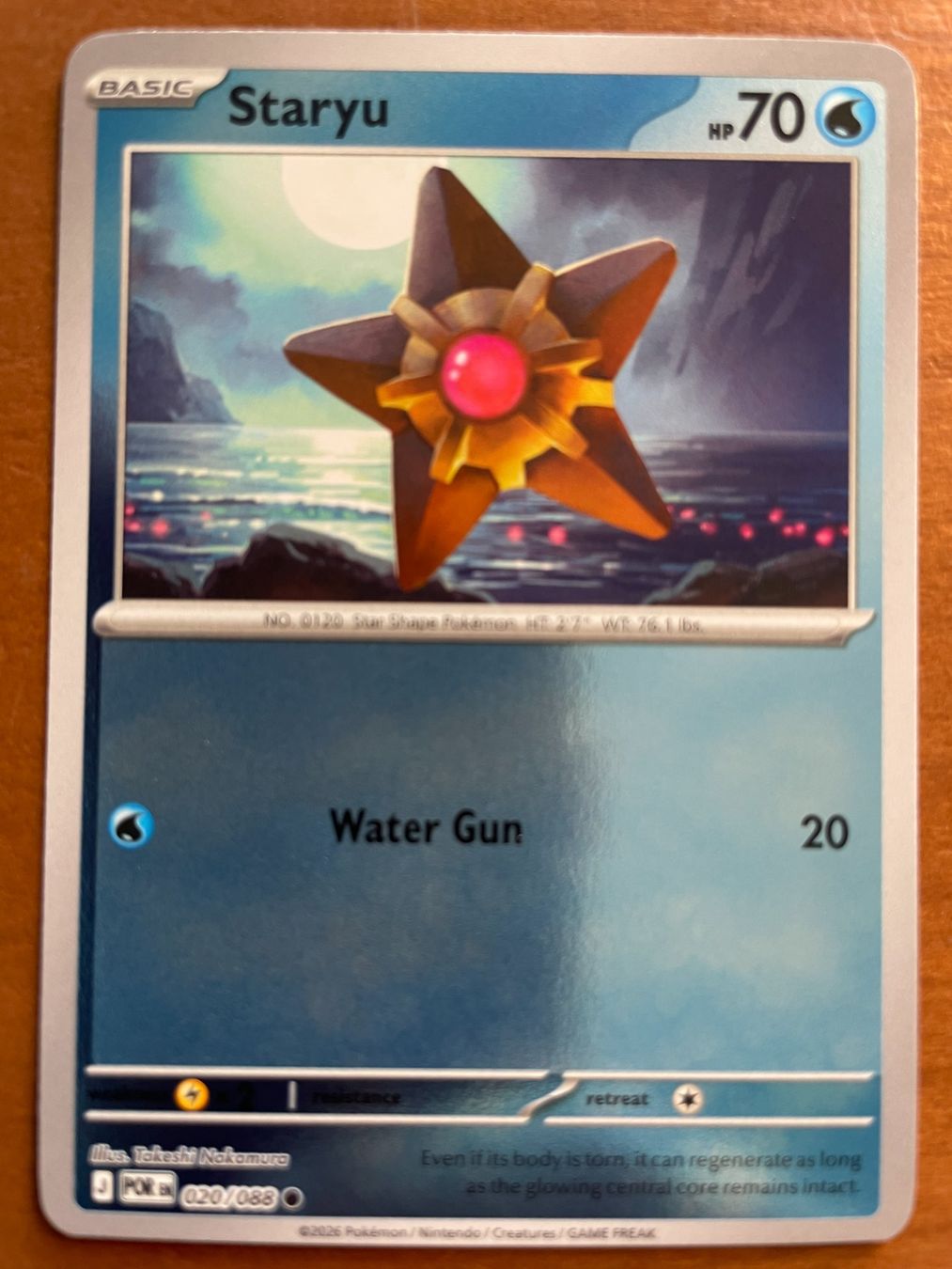 Pokémon Carte collezionabili: Pokemon Staryu Reverse (Versand gratis) – Nuovo (secondo la descrizione) da Chur venduto da Angerson