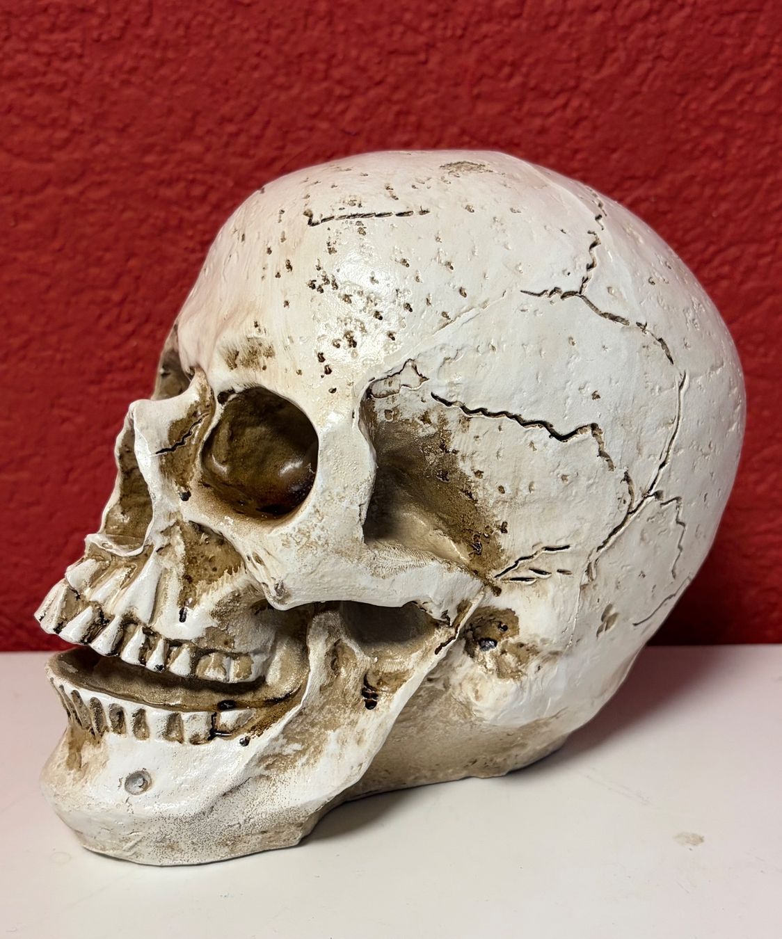 Figuren: Deko Totenschädel - Neu – Neu und originalverpackt aus Zäziwil von Emlea 4