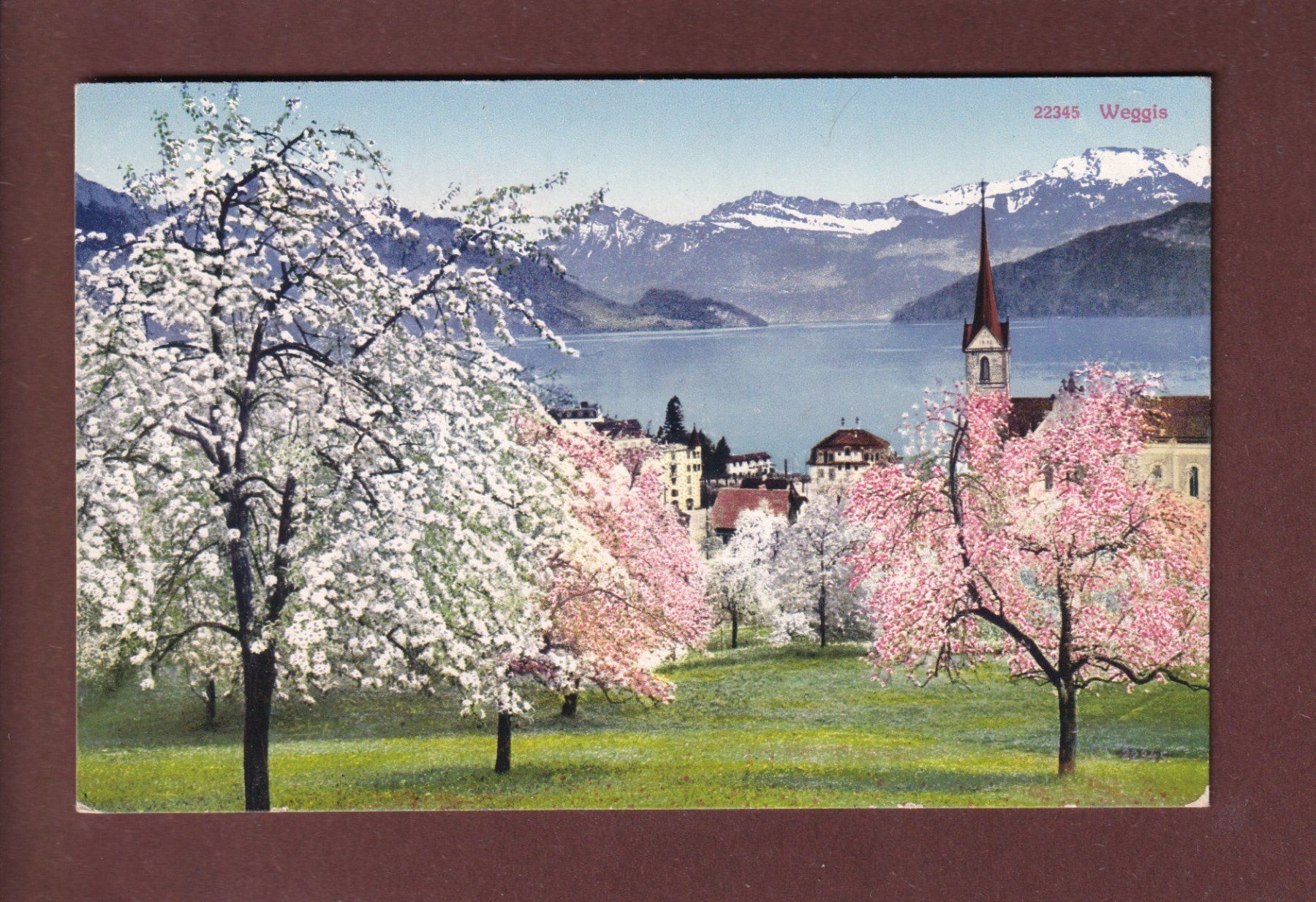 Cartoline postali: WEGGIS - Frühling - 1916 – Usato da Pully venduto da nicecards