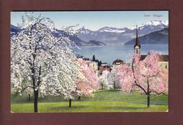 WEGGIS - Frühling - 1916
