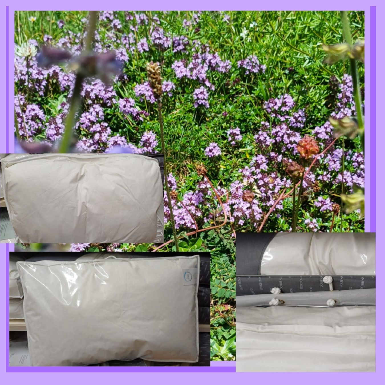 Kissen: Coussin literie1450gr.Meilleure qualité – Neu und originalverpackt aus Payerne von jea_m6nb 7