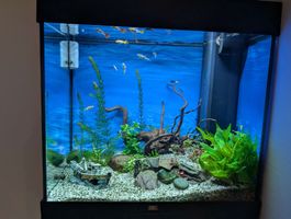 Aquarium Juwel 110 Liter - inkl. Unterschrank, Technik und C