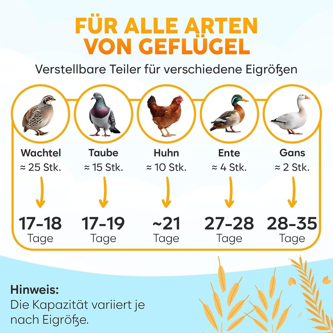 Altro in Accessori per animali: Brutautomat Vollautomatisch Eier Wenden 12-24 Eier – Nuovo e nell'imballaggio originale da Schaffhausen venduto da Gipfelgut 5