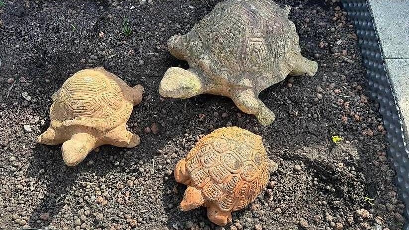 Leucht-Schildkröten Set - 30 Mini + 1 Große Schildkröte Für Garten-Deko