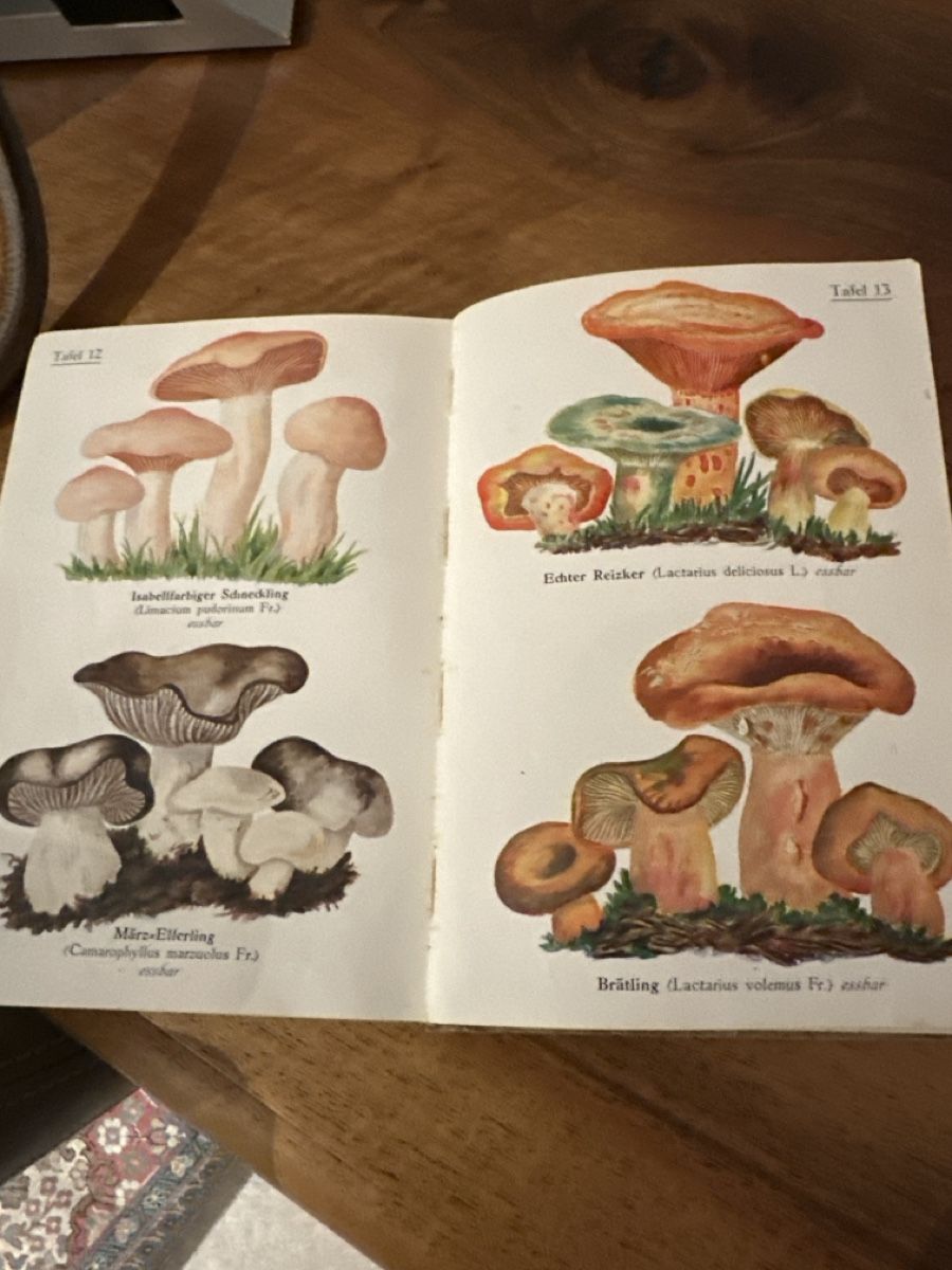 Livres: Schweizer Pilze E. Habersaat – D'occasion à S. Antonino par Swissbutler 2