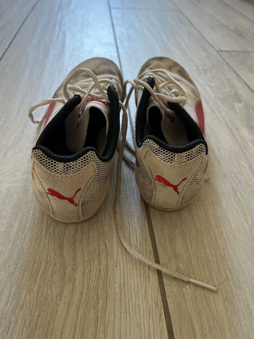 Puma Scarpe da uomo: Gr. 35 Spikes Leichtathletik Pointes PUMA EVOSPEED STAR 8 – Usato da Bettens venduto da rarouby26 4