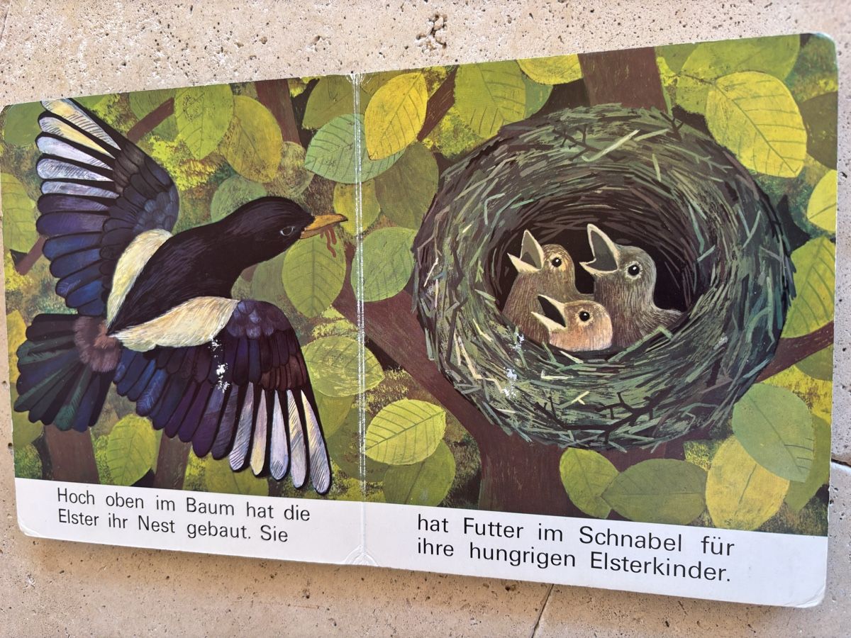Libri: Kinderbuch, Kommt in den Wald. – Usato da Hinwil venduto da TomTom036 2