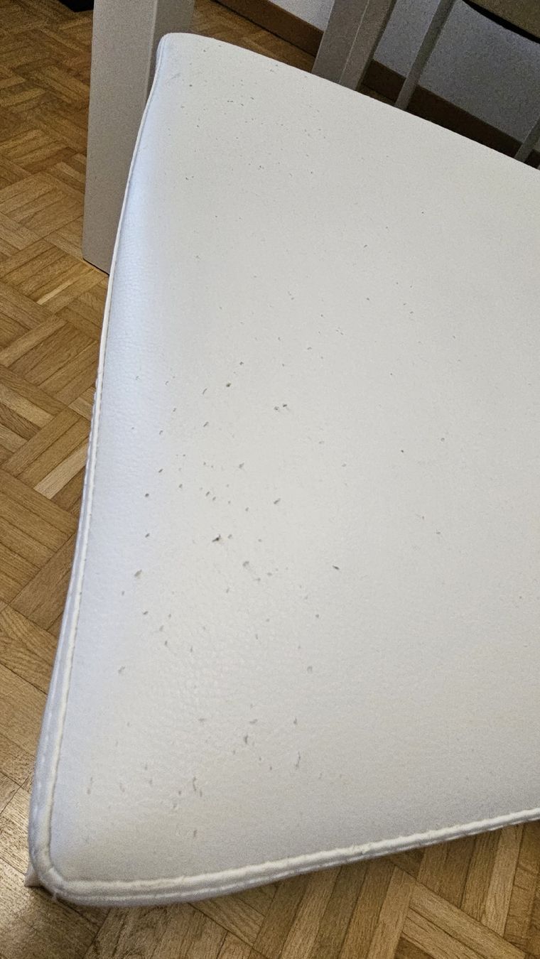 Tavoli: Gratis Esstisch 160 – Usato da Dietikon venduto da StefanAl 3