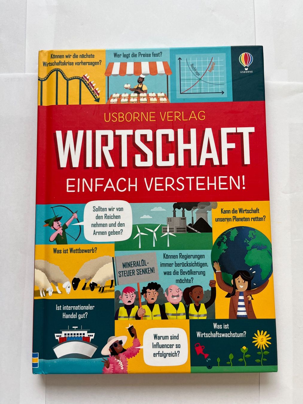 Libri: Wirtschaft einfach verstehen! - Usborne Verlag – Usato da Herrliberg venduto da oiaaa