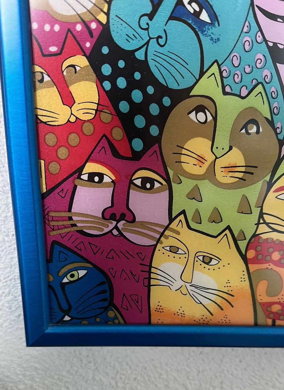 Foto & Immagini: Katzenbild mit buntem Rahmen - gross – Usato da Ehrendingen venduto da Denkro 2